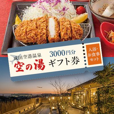 ふるさと納税 芝山町 成田空港温泉 空の湯のギフト券 入浴とお食事のセット 3,000円分