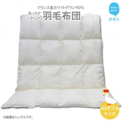 ふるさと納税 新居浜市 羽毛布団 セミダブルサイズ(B-12) フランス産 ホワイトダウン 90% 抗菌 防臭