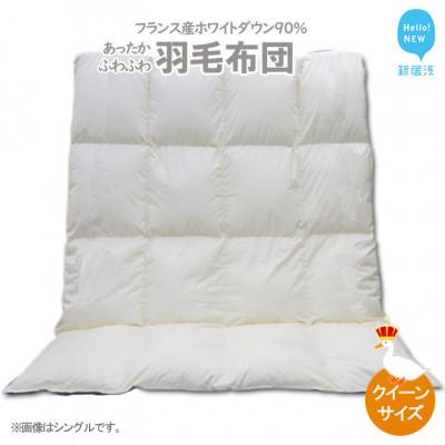 ふるさと納税 新居浜市 羽毛布団 クイーンサイズ(B-14) フランス産 ホワイトダウン 90% 抗菌 防臭