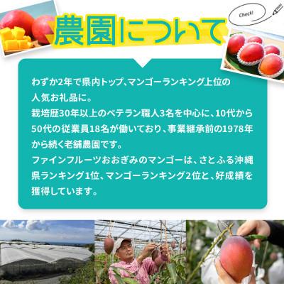 ふるさと納税 大宜味村 【2026年6月から順次発送・農園直送!】ご家庭用でも極上に美味しい完熟アップルマンゴー1.5kg_2