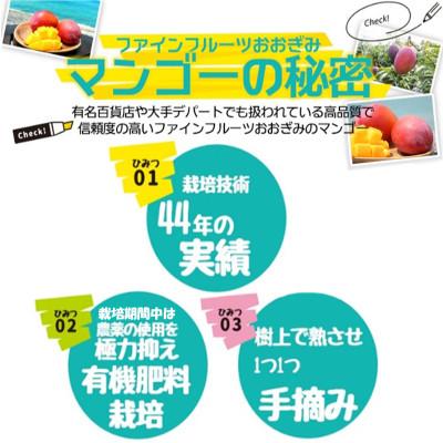 ふるさと納税 大宜味村 【2027年6月から順次発送・農園直送!】農園一番人気の完熟アップルマンゴー秀品 約1.0kg |  | 01