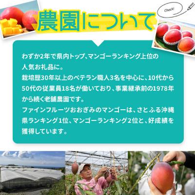 ふるさと納税 大宜味村 【2027年6月から順次発送・農園直送!】農園一番人気の完熟アップルマンゴー秀品 約1.0kg |  | 02