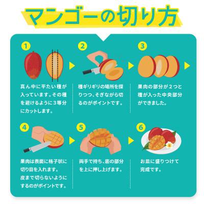 ふるさと納税 大宜味村 【2027年6月から順次発送・農園直送!】農園一番人気の完熟アップルマンゴー秀品 約1.0kg |  | 03