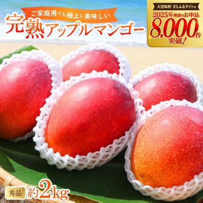 ふるさと納税 大宜味村 [2026年6月から順次発送・農園直送!]農園一番人気の完熟アップルマンゴー秀品 約2.0kg
