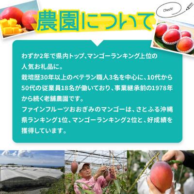 ふるさと納税 大宜味村 【2027年6月から順次発送・農園直送!】農園一番人気の完熟アップルマンゴー秀品 約2.0kg |  | 02