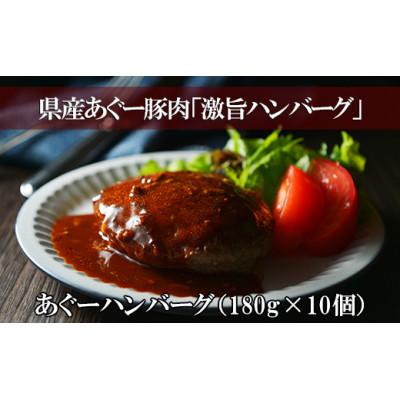 ふるさと納税 浦添市 あぐーハンバーグ (180g×10個)