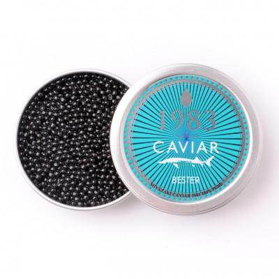 ふるさと納税 日南市 日南市限定 宮崎の本格熟成キャビア 宮崎キャビア1983ベステル (50g)(エコ包装)