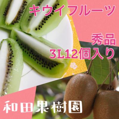 ふるさと納税 紀の川市 和田果樹園の秀品 紀の川市産キウイフルーツ ヘイワード12個入り 3Lサイズ