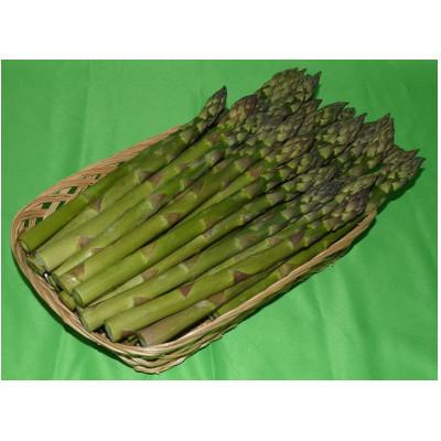 ふるさと納税 倶知安町 北海道羊蹄山麓 JAようていグリーンアスパラ 800g(2026年春より順次発送!)