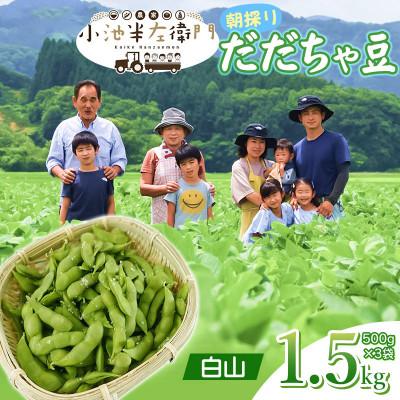 ふるさと納税 鶴岡市 [令和8年分 先行受付]山形県鶴岡産 農家小池半左衛門の朝採りだだちゃ豆[白山]1.5kg