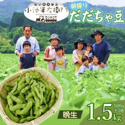 ふるさと納税 鶴岡市 [令和8年分 先行受付]山形県鶴岡産 農家小池半左衛門の朝採りだだちゃ豆[晩生]1.5kg