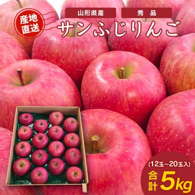 ふるさと納税 寒河江市 [2025年産]山形県産サンふじりんご 約5kg (12〜20玉入り)