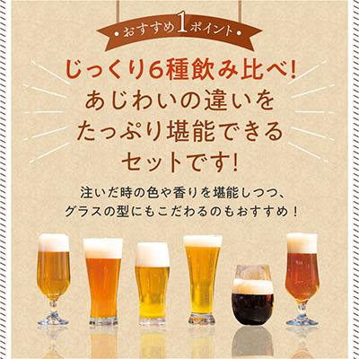 ふるさと納税 京丹後市 【飲み比べ】クラフトビール 350ml×6種 受賞多数の地ビール等の詰め合わせ ギフトに人気のセット |  | 02