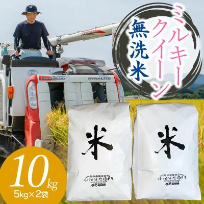 ふるさと納税 鶴岡市 【令和8年産】山形県庄内産 小池半左衛門のお米 ミルキークイーン 無洗米 5kg×2袋 計10kg | 
