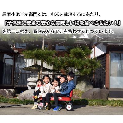 ふるさと納税 鶴岡市 【令和8年産】山形県庄内産 小池半左衛門のお米 ミルキークイーン 無洗米 5kg×2袋 計10kg |  | 03