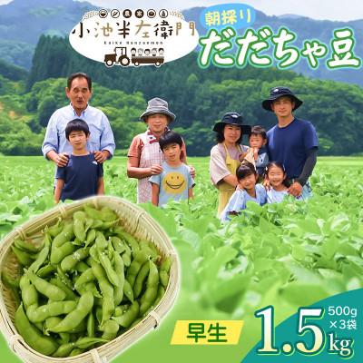 ふるさと納税 鶴岡市 [令和8年分 先行受付]山形県鶴岡産 農家小池半左衛門の朝採りだだちゃ豆[早生]1.5kg