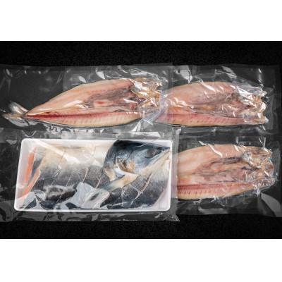 ふるさと納税 美幌町 北海道オホーツク産　焼き魚セット　開きホッケ(3枚)、鮭半身姿切身(800g) |  | 01