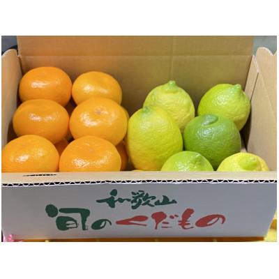 ふるさと納税 印南町 地元印南町産の完熟温州みかんu約1.5kg(S〜Lサイズ)とレモン約1kgの詰め合わせ