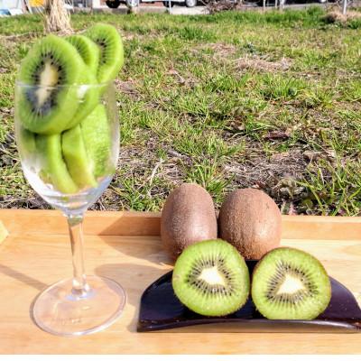 ふるさと納税 紀の川市 キウイ香り立つ。濃厚甘さ+酸味。26歳ヤングもこれはうまい!。農家10代目がつくる。