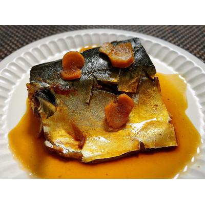 ふるさと納税 利府町 さば生姜煮 業務用パック70g8切れ