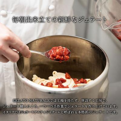 ふるさと納税 福岡市 [福岡市の返礼品]九州の旬の食材を使用したオーガニックジェラート 8個