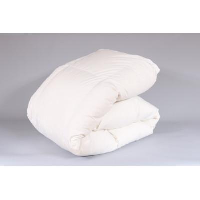 ふるさと納税 筑後市 羽毛掛布団(旅館オリジナル) シングル増量 1.300g