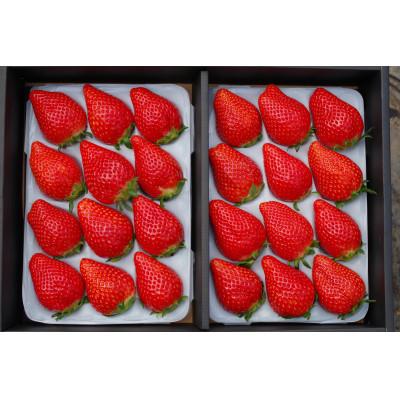 ふるさと納税 矢板市 [数量限定]年末年始に順次お届け!完熟朝摘みスカイベリー デラックス