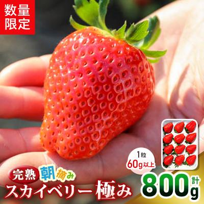 ふるさと納税 矢板市 [先行予約・数量限定] 完熟朝摘みスカイベリー 極み 12粒 1粒60g以上 計800g 栃木県産