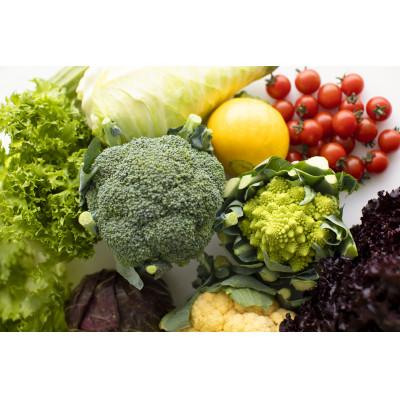 ふるさと納税 江別市 北海道江別産 季節の彩り野菜セット M|Ambitious Farm