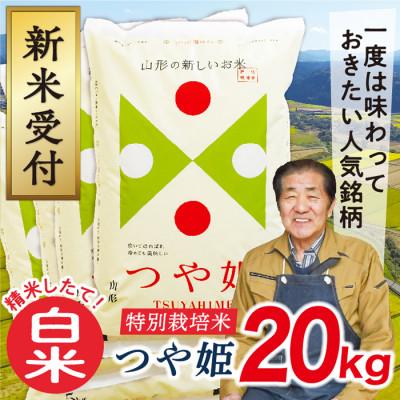 ふるさと納税 最上町 【令和8年産先行受付】山形県産特別栽培米つや姫