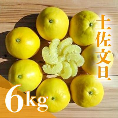 ふるさと納税 須崎市 [南国高知からの贈り物]土佐文旦 6kg