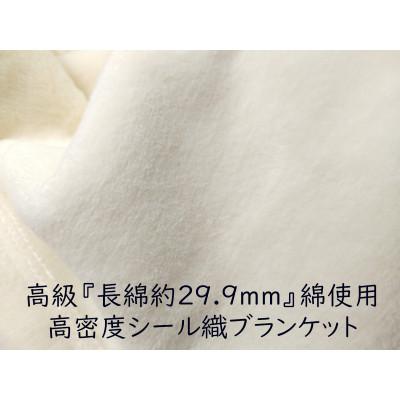 ふるさと納税 橋本市 綿100%綿毛布 厚手タイプ クリーム