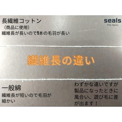 ふるさと納税 橋本市 綿100%綿毛布 厚手タイプ クリーム_3