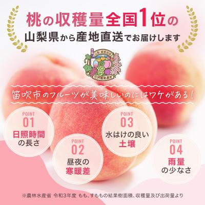 ふるさと納税 笛吹市 2026年発送 旬の桃 2kg以上(5〜8玉) 人気フルーツ 果物 山梨県産 白鳳系 白桃系 ももの画像