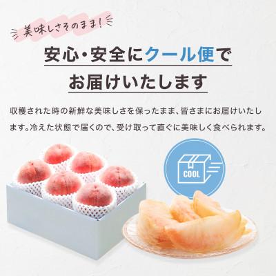 ふるさと納税 笛吹市 2026年発送 旬の桃 2kg以上(5〜8玉) 人気フルーツ 果物 山梨県産 白鳳系 白桃系 ももの画像