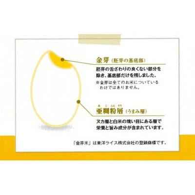 ふるさと納税 安来市 BG無洗米　金芽米つや姫　2kg |  | 02
