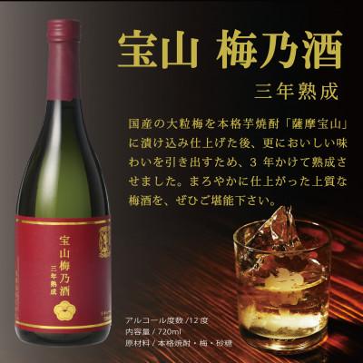 ふるさと納税 日置市 西酒造の梅酒「宝山梅乃酒　三年熟成」　720ml×4本セット |  | 01