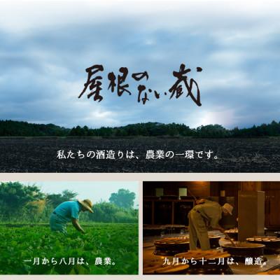 ふるさと納税 日置市 西酒造の梅酒「宝山梅乃酒　三年熟成」　720ml×4本セット |  | 02