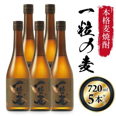 ふるさと納税 日置市 西酒造の麦焼酎「一粒の麦」720ml×5本セット