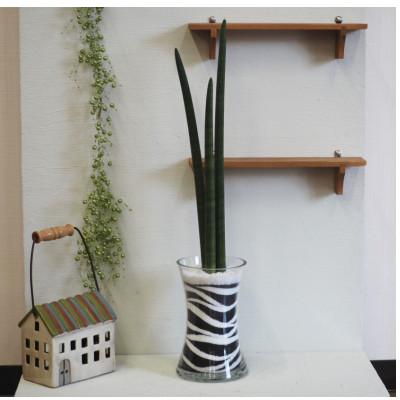 ふるさと納税 朝倉市 スタッキーのカラーサンド(大)黒