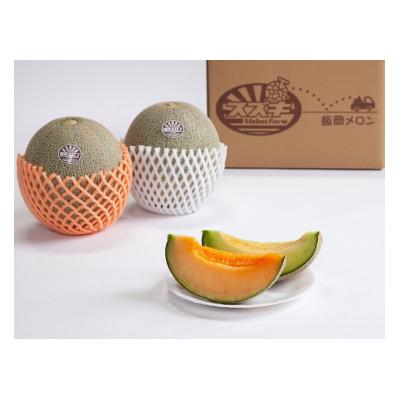 ふるさと納税 旭市 [2026年先行受付]飯岡メロン(青肉・赤肉セット)大玉5L(約1.7kg)各1玉入