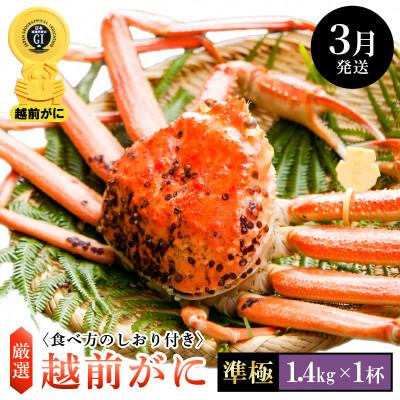ふるさと納税 越前町 ≪浜茹で≫ 越前がに 準極 × 1杯[3月発送分]