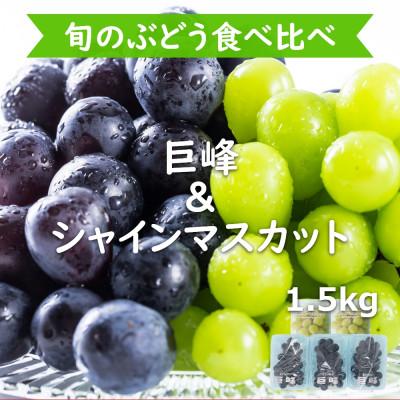 ふるさと納税 時津町 完熟巨峰・シャインマスカット食べ比べ 5パック 約1.5kg