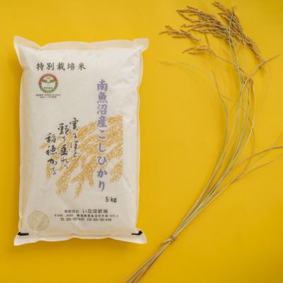 ふるさと納税 南魚沼市 [令和7年産 新米] 南魚沼産コシヒカリ「特別栽培米(アファス認証)」精米5kg