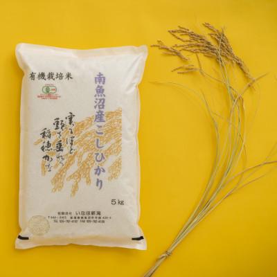 ふるさと納税 南魚沼市 [令和7年産 ] 有機JAS認定米「南魚沼産コシヒカリ」精米5kg 有機栽培米