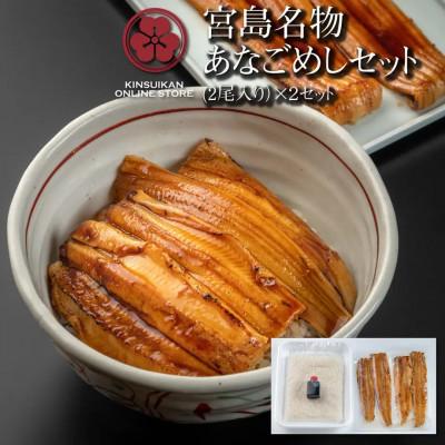 ふるさと納税 廿日市市 あなごめしセット[2尾入り]×2セット(桑田米2合・秘伝のタレ付)