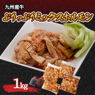 ふるさと納税 粕屋町 ぷりっぷりミックスホルモン1kg(8〜9人前)