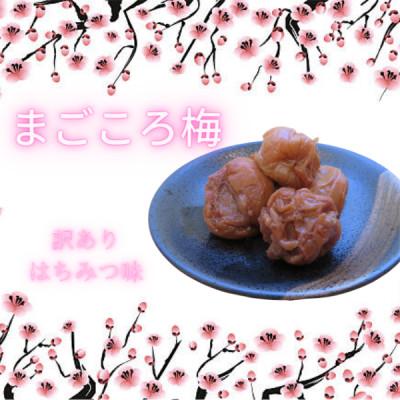 ふるさと納税 白浜町 はちみつ梅 訳あり 5L 400g