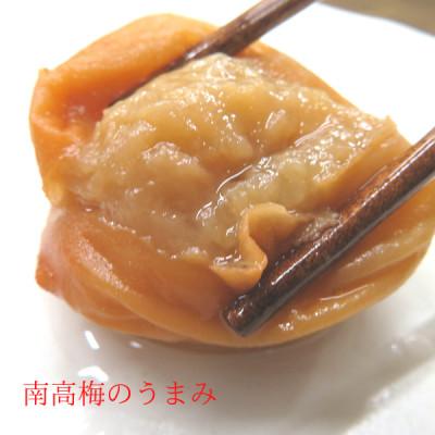ふるさと納税 白浜町 訳あり梅干し はちみつ梅 大玉 500g×2個入り