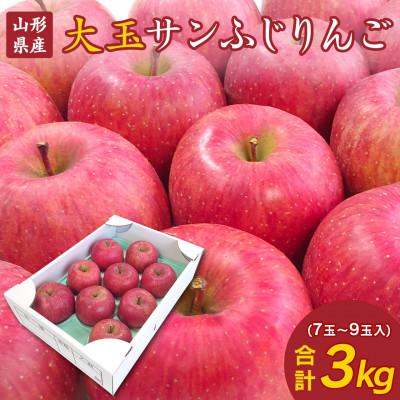 ふるさと納税 寒河江市 [2025年産]山形県産大玉サンふじりんご 3kg (7〜9玉入り)